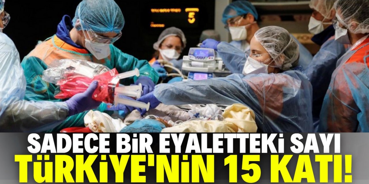 Sadece bir eyalet Türkiye’nin 15 katı!