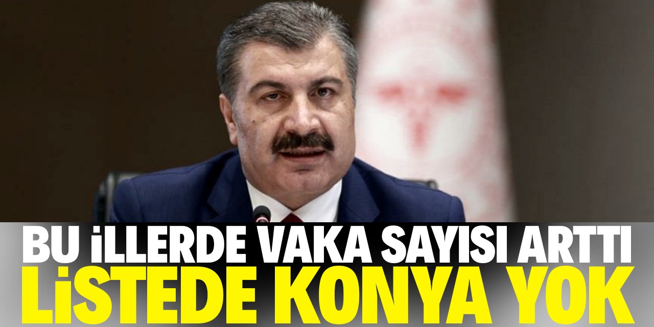 En çok vaka görülen iller açıklandı! Listede ilk kez Konya yok