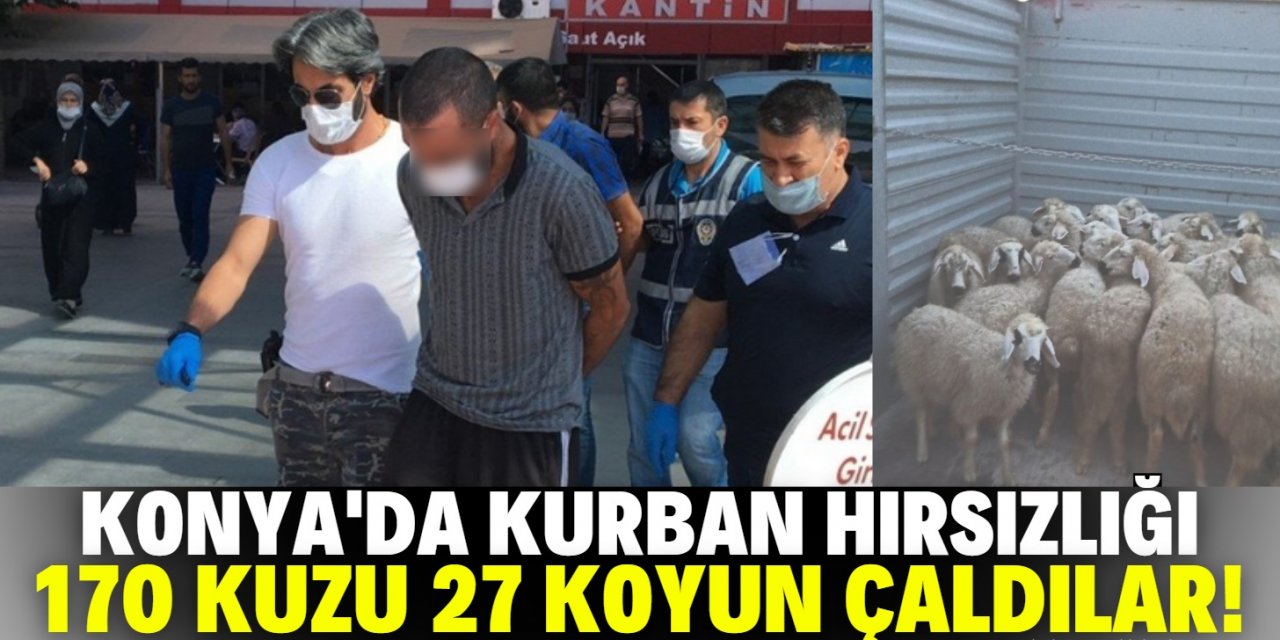 Konya'da küçükbaş hayvan çalan iki kişi yakalandı