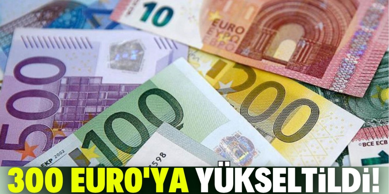 Çalışan annelere bakıcı desteği 300 euroya çıkarıldı