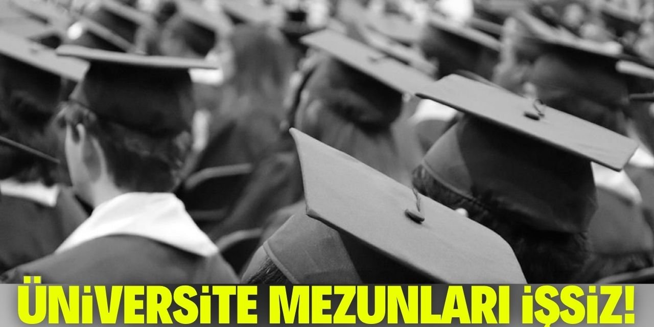 Üniversite mezunlarının yüzde 42’si iş bulamıyor