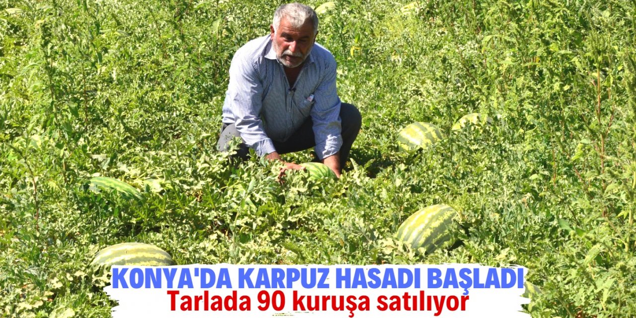 Konya’da karpuz hasadı başladı