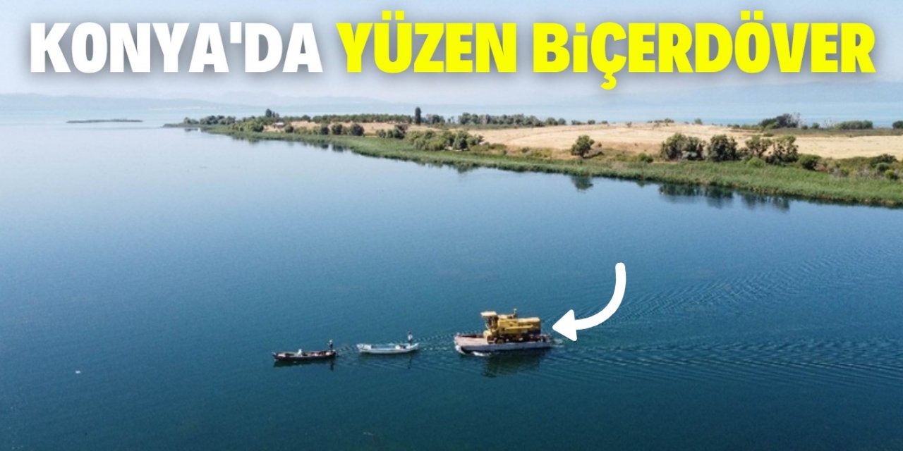 Konya Beyşehir Gölü’nde adaya götürülen biçerdöverle hasat