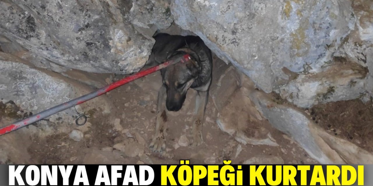 Konya'da kayalıklarda sıkışan çoban köpeğini AFAD ekipleri kurtardı