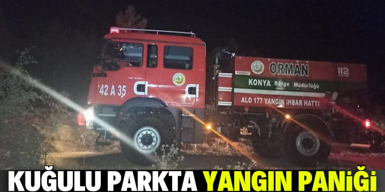 Seydişehir Kuğulu Parkta yangın paniği