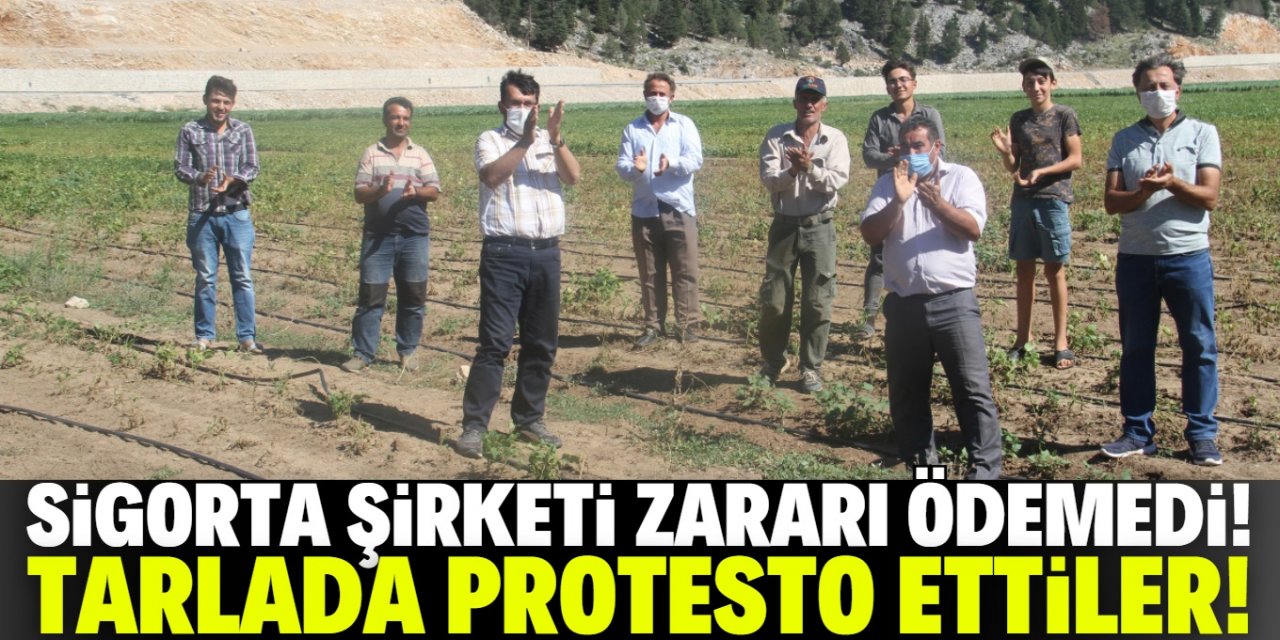 Konya'da çiftçiler sigorta şirketini tarlada protesto etti