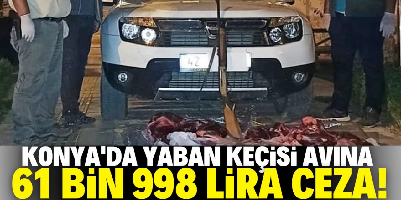 Konya'da yaban keçisi avına 61 bin 998 lira ceza