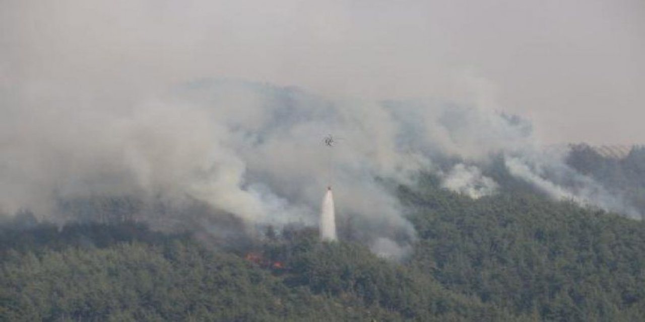 Adana Kozan'daki orman yangını hala kontrol altına alınamadı
