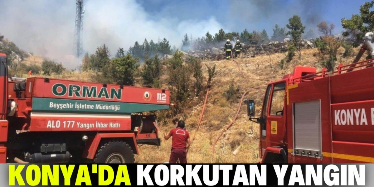 Konya’da korkutan orman yangını