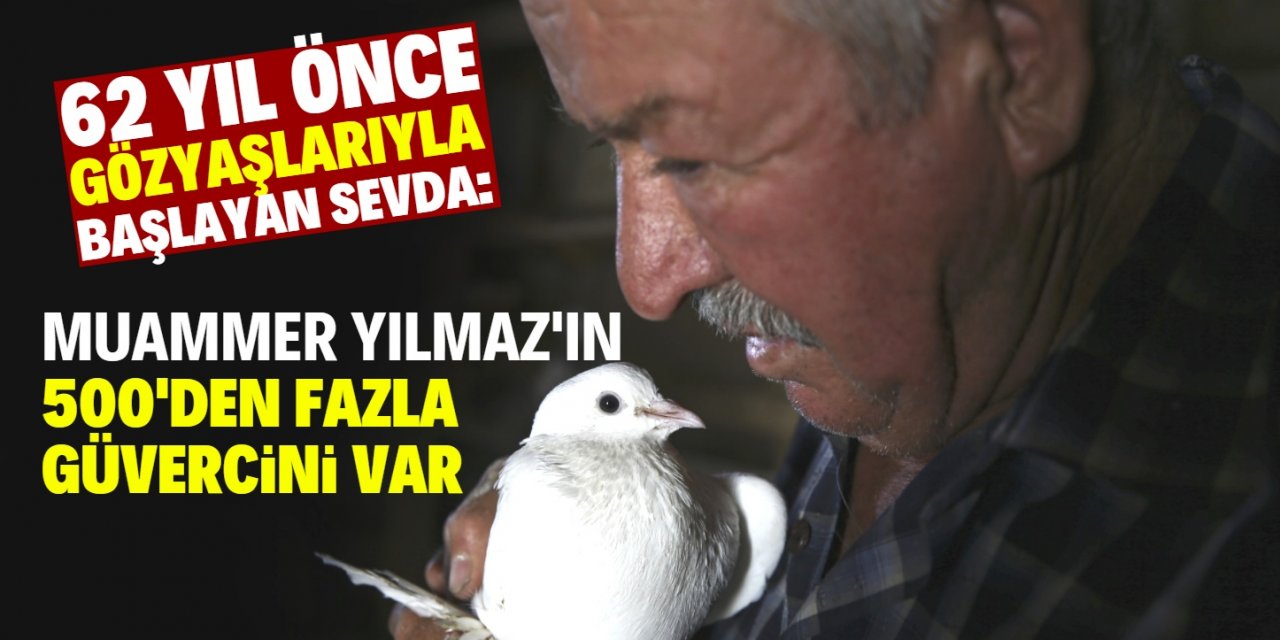 Konyalı Muammer Yılmaz "Evlatlarım" dediği güvercinlerinden 62 yıldır ayrılmıyor