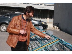 1 Milyar Tonluk Rezerv Heyecanlandırdı