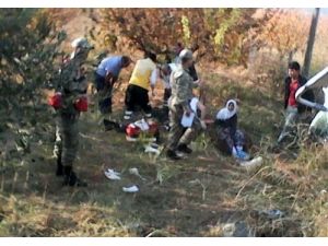 Hatay'da Minibüs Şarampole Yuvarlandı: 4 Ölü 17 Yaralı (2)