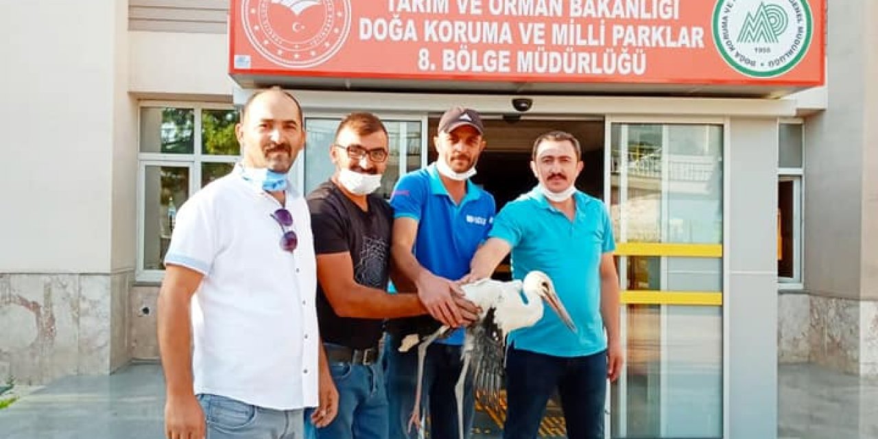 Konya'da yaralı olduğu için göç edemeyen leylek tedaviye alındı