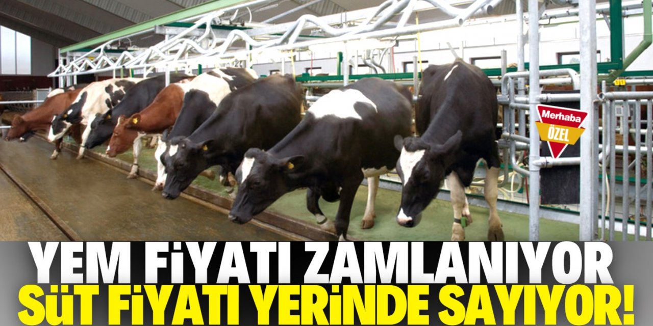 Konya'daki süt üreticileri önünü göremiyor!