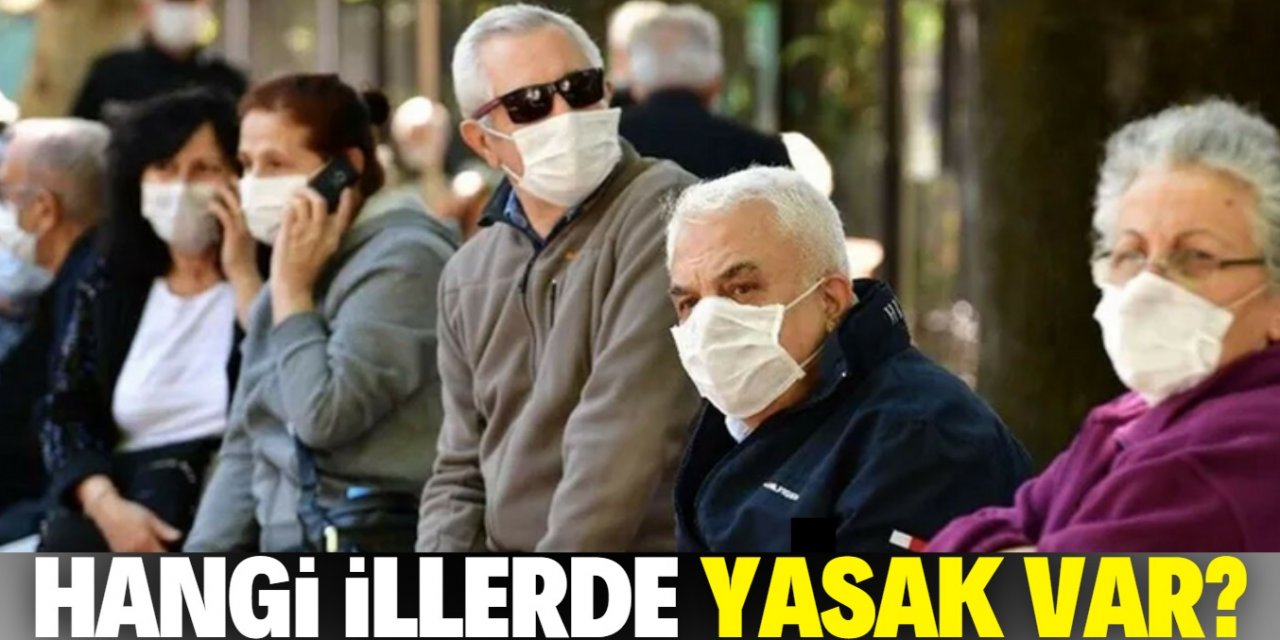 65 yaş üstü yasağı hangi illerde var?