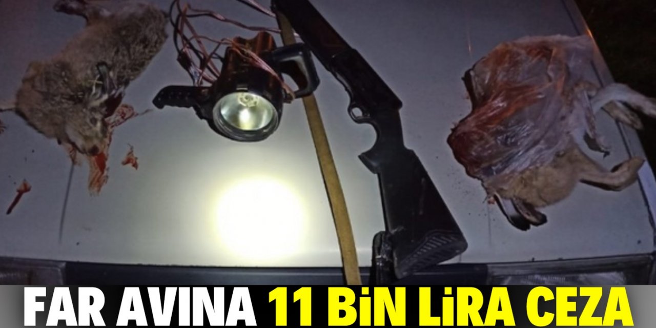 Far avı yapan 3 kişiye 11 bin lira ceza