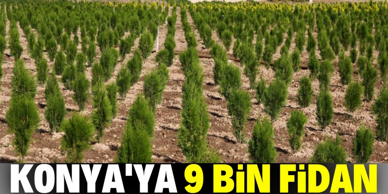 Konya'da 9 bin fidan toprakla buluşacak