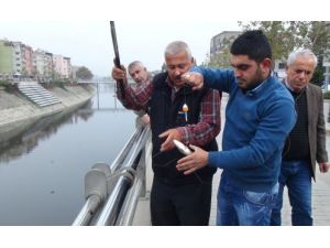 Asi Nehri'nde Balık Ölümleri Başladı