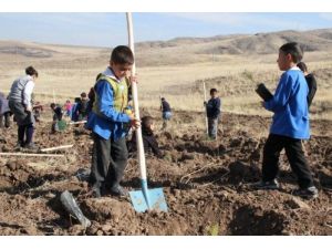 Köylüler 500 Fidanı Toprakla Buluşturdu