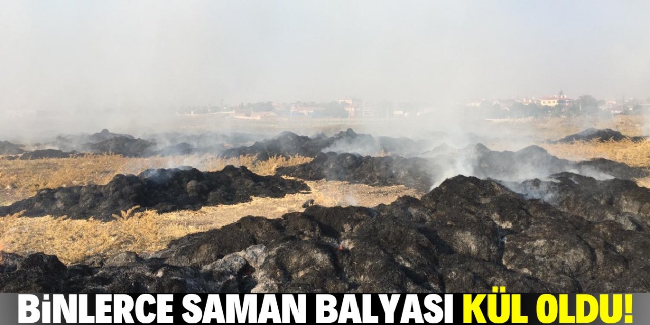 Konya'da 5 bin saman balyası yandı