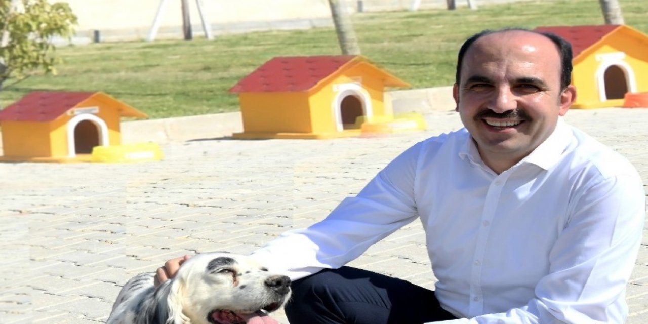 Başkan Altay: "Sokak hayvanları için örnek çalışmalar yürütüyoruz"