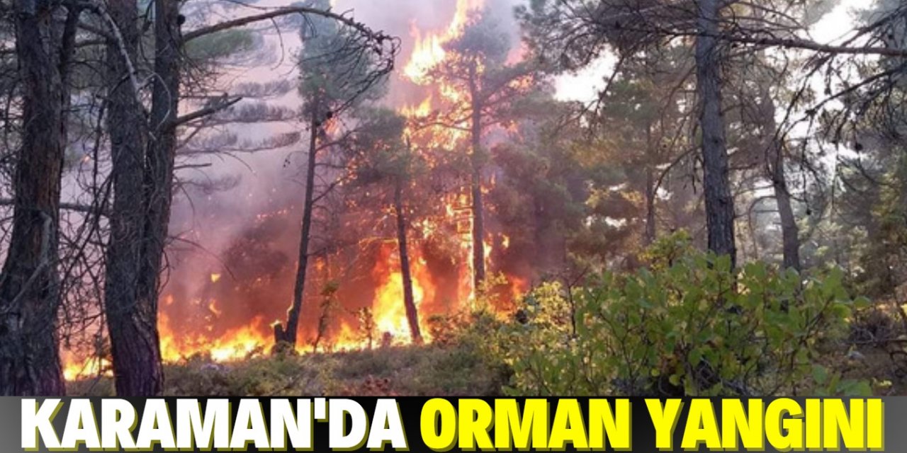 Karaman'da çıkan orman yangınında 10 dönüm alan zarar gördü