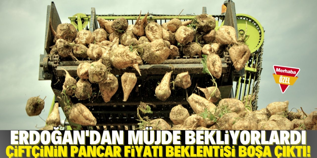 Pancar fiyatında belirsizlik reva görüldü!