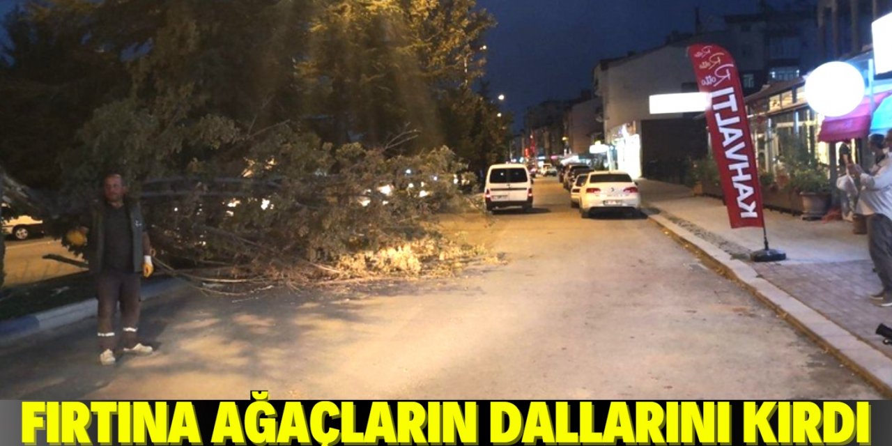 Beyşehir'de fırtına ağaçların dallarını kırıp yola savurdu