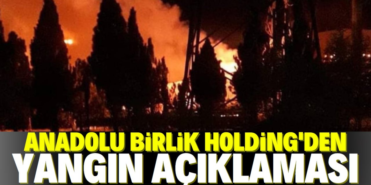 Anadolu Birlik Holding: Yangında enerji nakil hattı zarar gördü