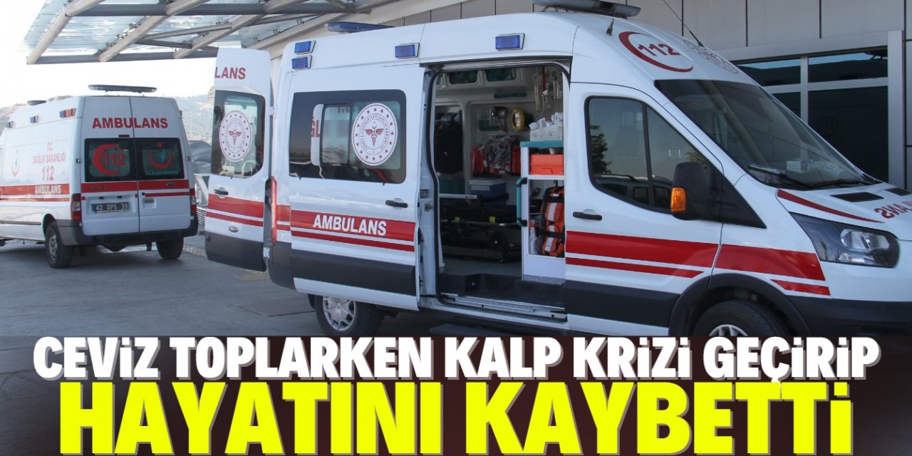 Konya'da çıktığı ceviz ağacında kalp krizi geçiren kişi hayatını kaybetti