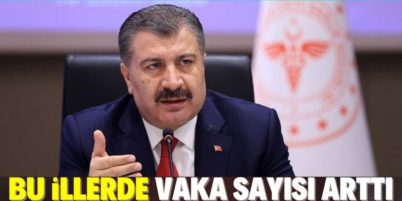 Bakan Koca vaka sayısının arttığı illeri açıkladı