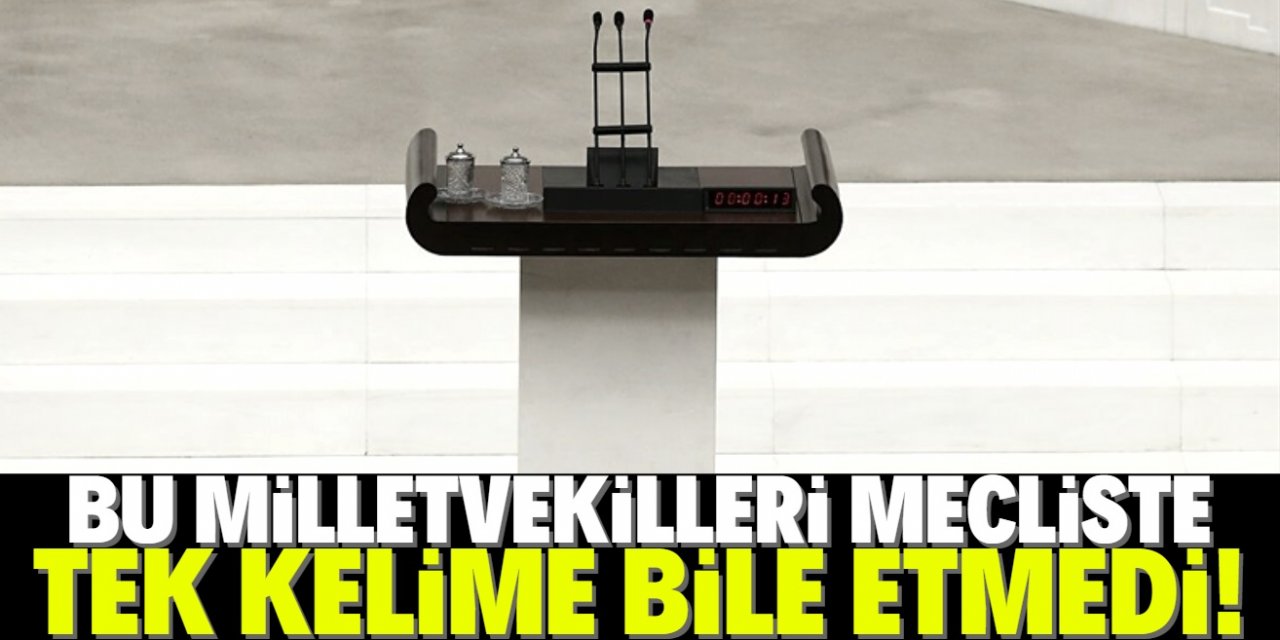 Mecliste tek kelime bile etmeyen 32 vekil var!