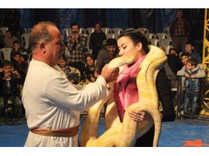 Bafralı Çocukların Piton Yılanı İle Cesaret Gösterisi