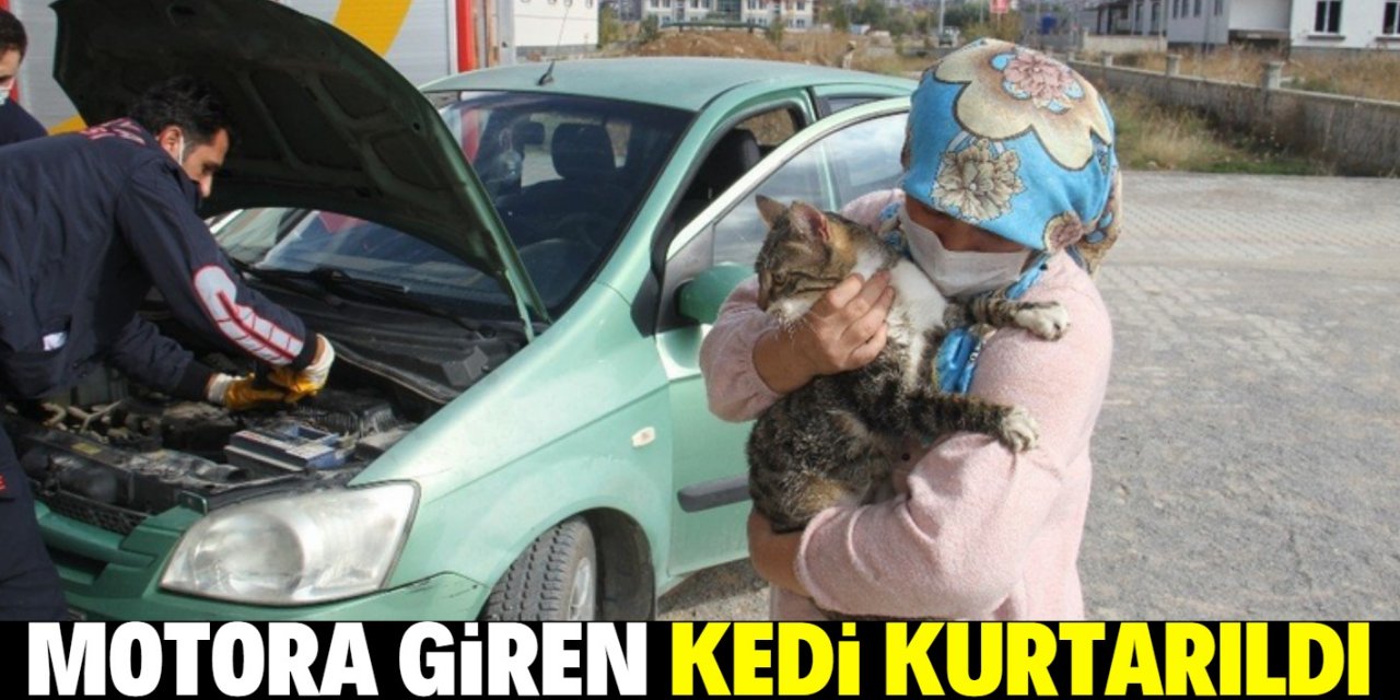 Konya'da otomobilden kedi kurtarma operasyonu