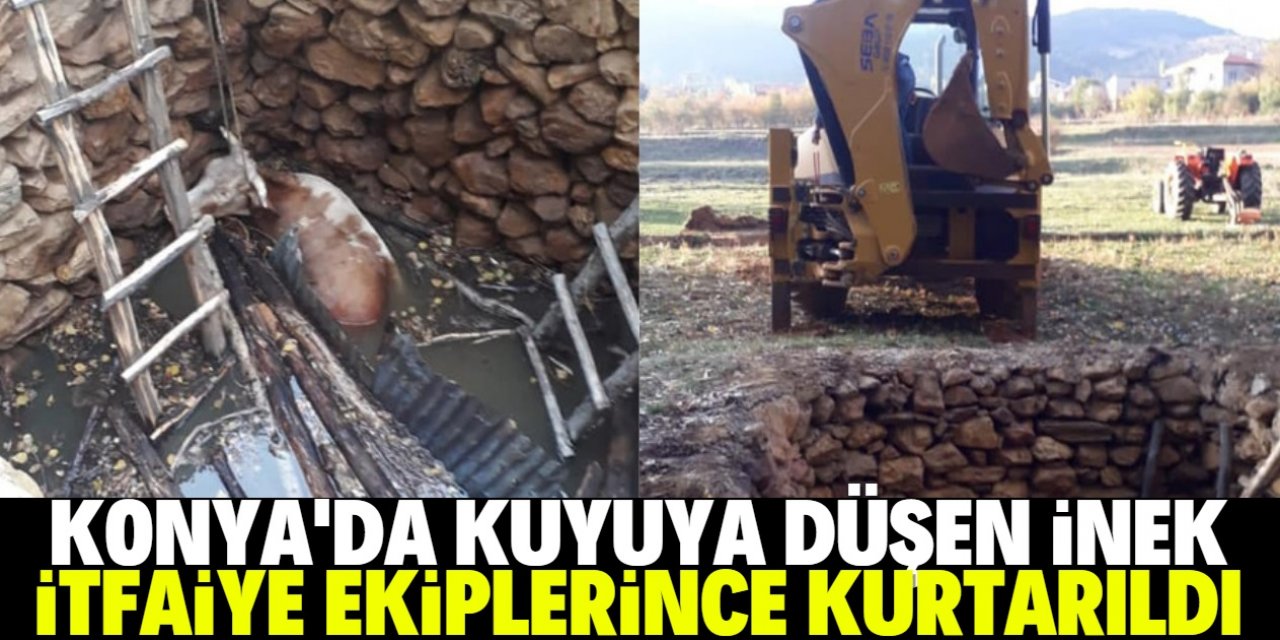 Konya'da kuyuya düşen inek itfaiye ekiplerince kurtarıldı