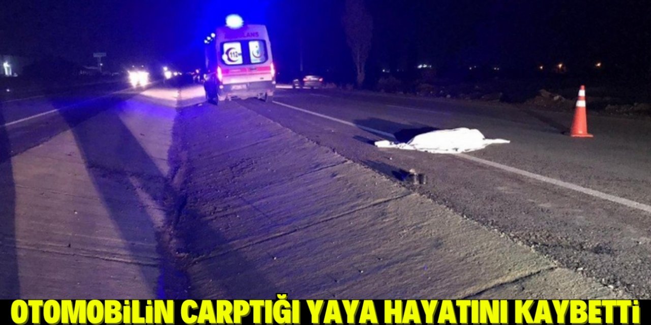 Konya'da bir kişi otomobilin çarpması sonucu can verdi