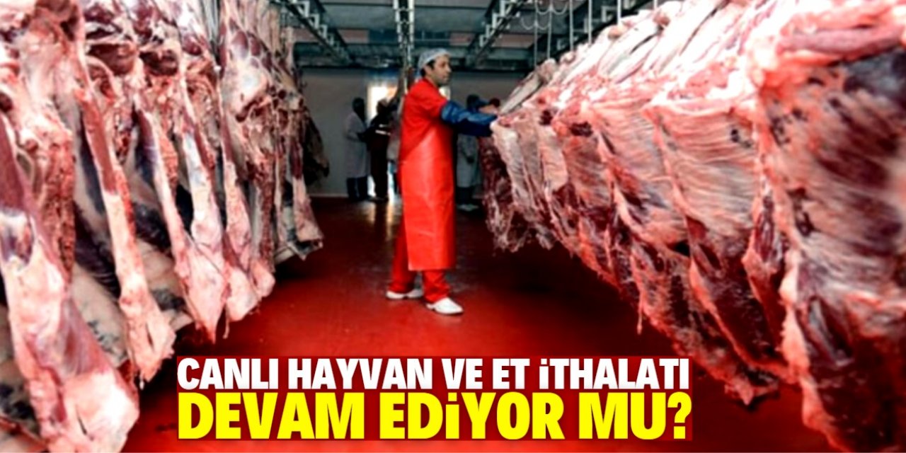 Canlı hayvan ve et ithalatı gerçekten düşüyor mu?