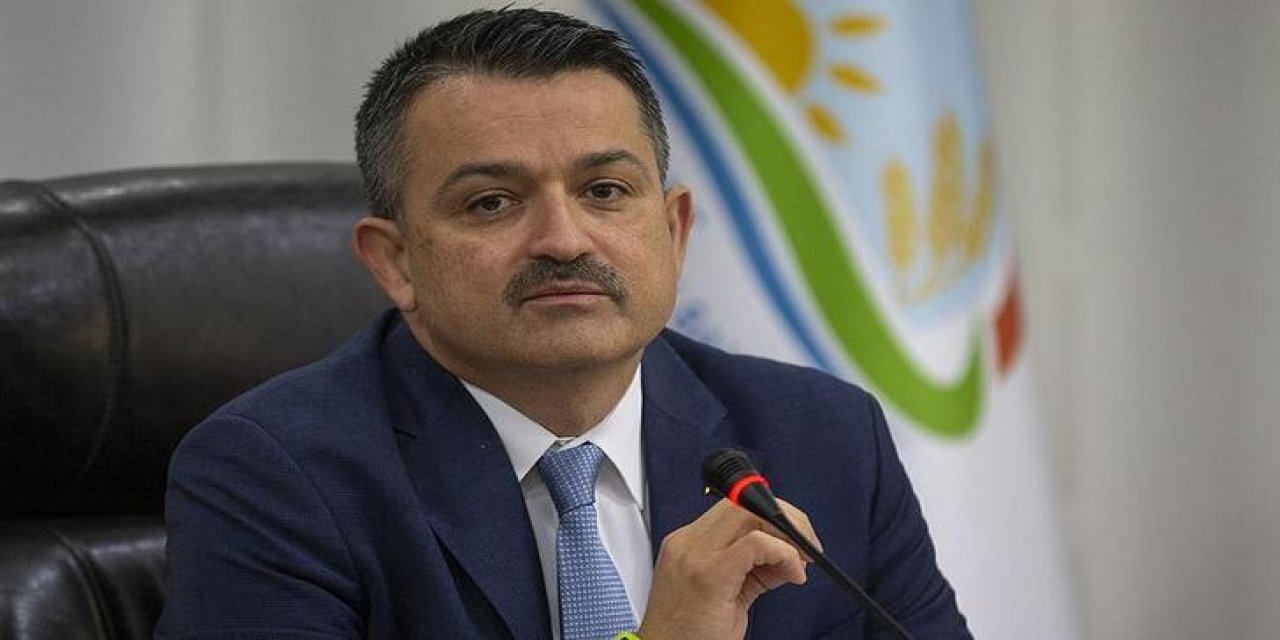 Bakan Pakdemirli: 564 projeye 261 milyon lira hibe sağlanacak