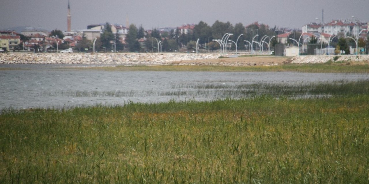 Beyşehir Gölü kıyılarında sular çekildi