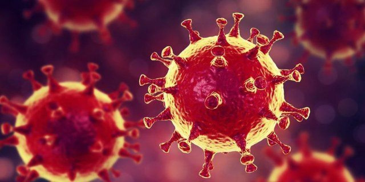 Koronavirüs 54 milyonu aştı! Çin'de 13 yeni vaka görüldü!