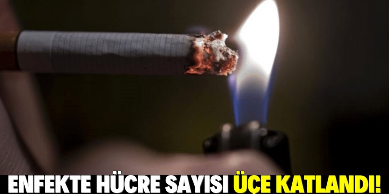 Sigara içenler dikkat: Koronavirüse korkunç etkisi ortaya çıktı!