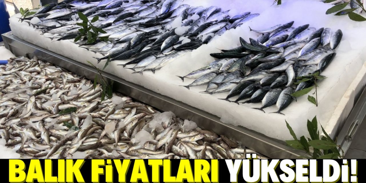 Balık fiyatları birden yükseldi!