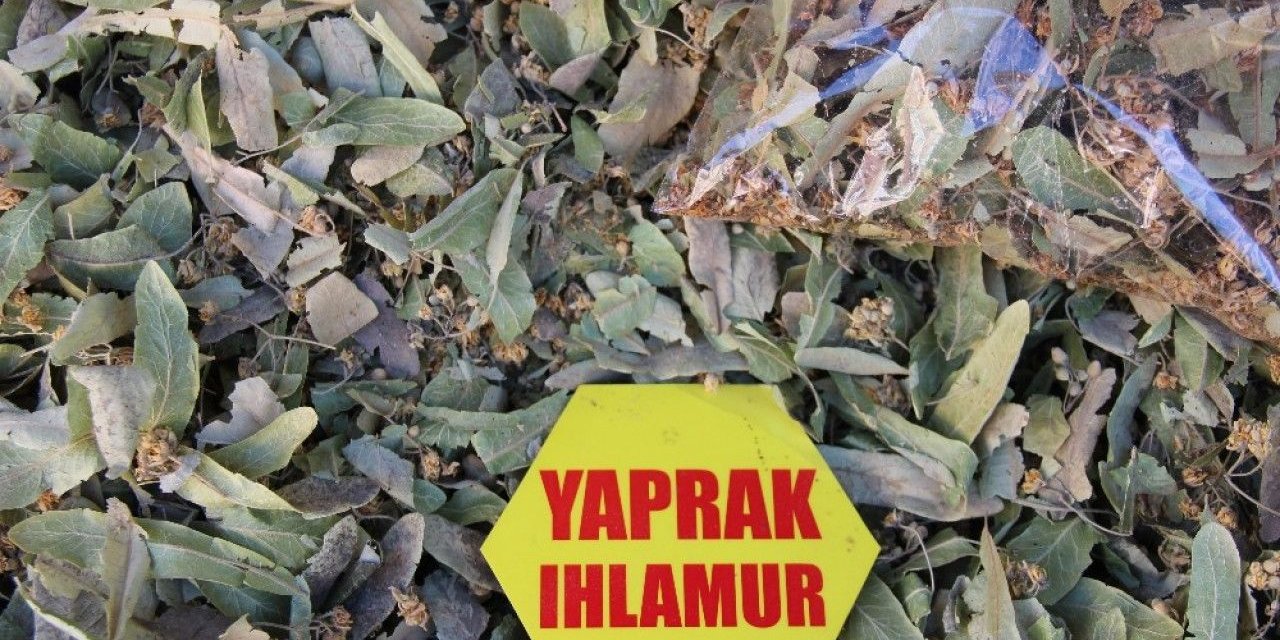 Ihlamur fiyatları zamlandı