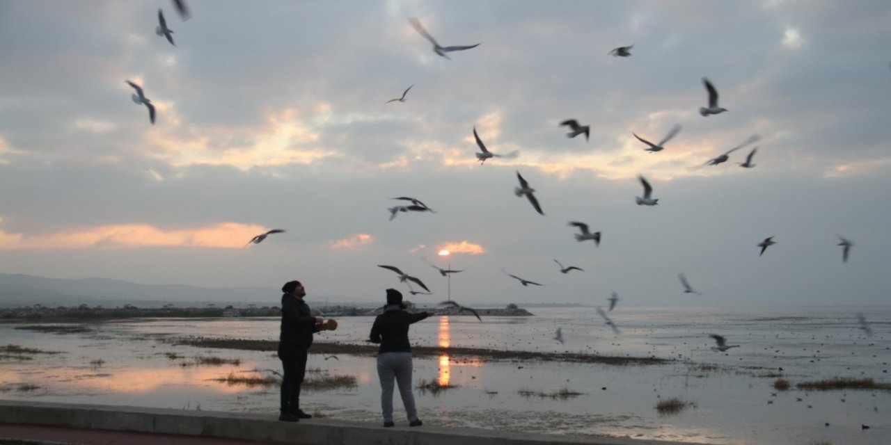 Beyşehir Gölü kıyıları martıların akınına uğradı