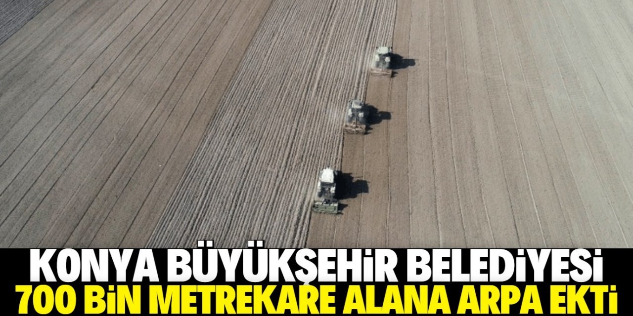 Konya Büyükşehir'den tarım atağı: 700 bin metrekare araziye arpa ekildi