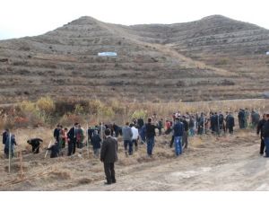 'Yedi Bölge Yedi Orman' Projesi İle Adıyaman Yeşilleniyor