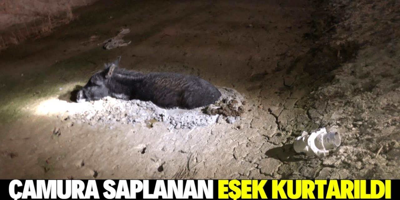 Konya'da çamura saplanan eşeği itfaiye kurtardı