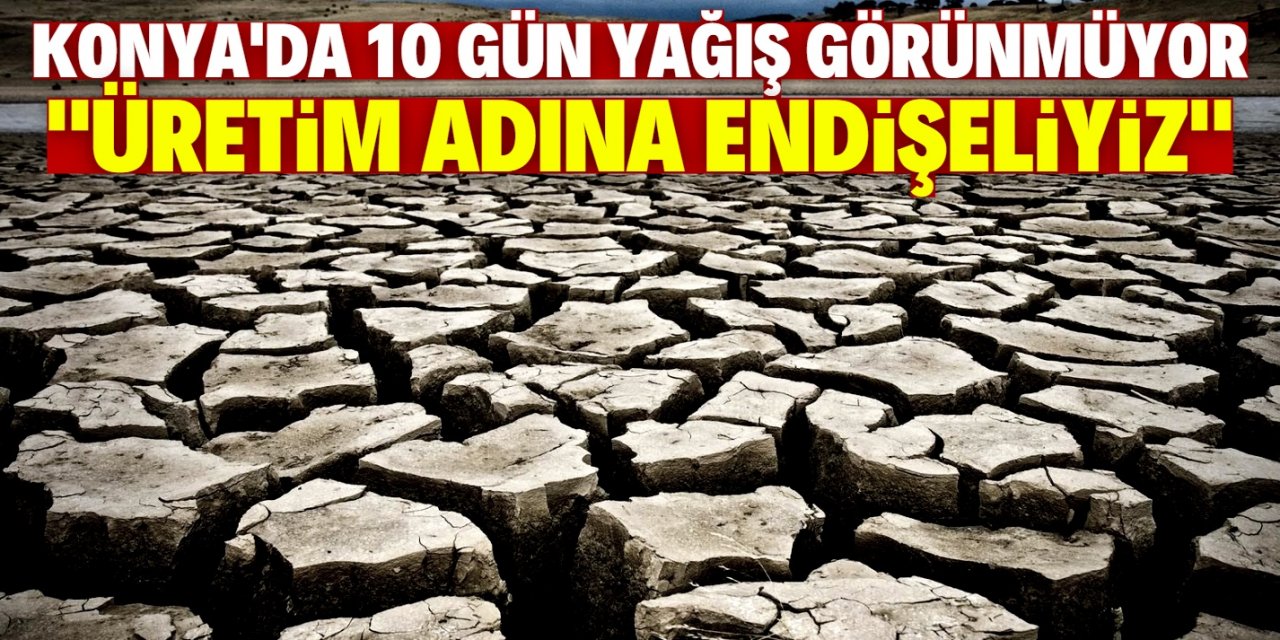 Konya'da 10 gün yağış yok! Çiftçiler üretim adına endişeli