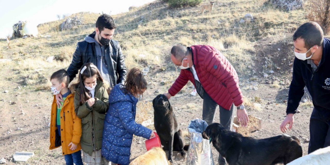 "Sokak hayvanları sahipsiz bırakılmıyor"