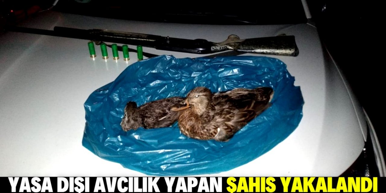 Beyşehir'de yasa dışı ördek avına ceza
